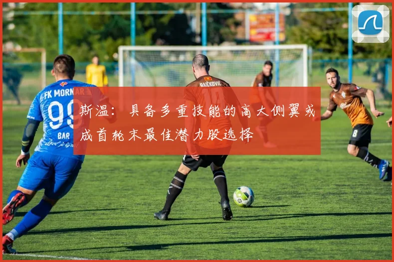 斯温：具备多重技能的高大侧翼或成首轮末最佳潜力股选择